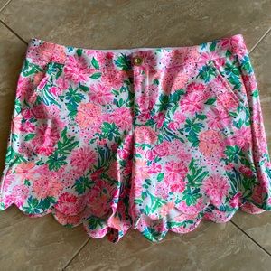 Lilly buttercup knit short NWT size 12